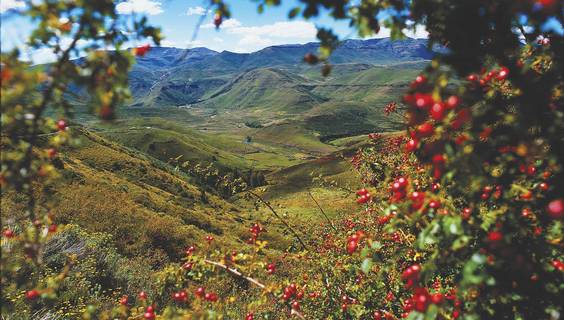 Lesotho © Botschaft Lesotho