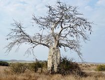  &copy; Dreamtime sa/Stefanie Anderegg